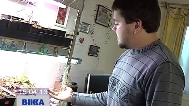 Хижі рослини смотреть онлайн