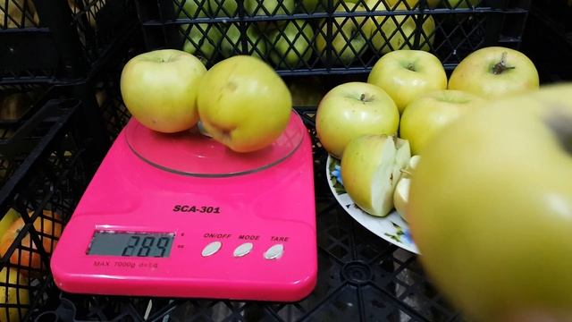 яблоня Ренет Симиренко смотреть онлайн