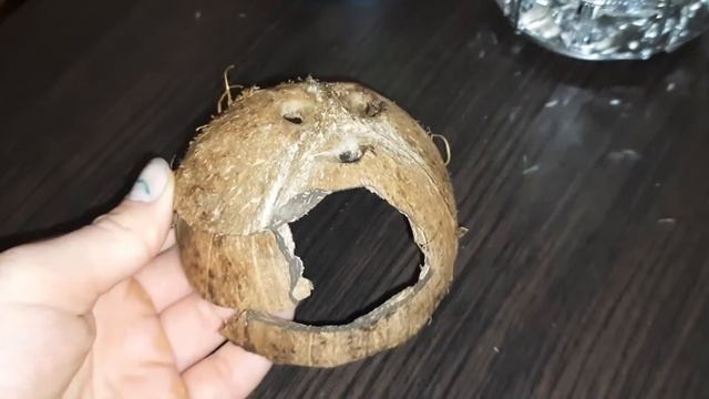 || дом для хомяка из кокоса|| домик для хомяка своими руками|| смотреть онлайн