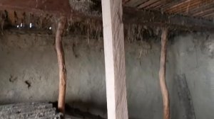 Влог: Купили дом на Юге. Что оставили нам в подарок хозяева? Обзор сада и участка.