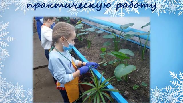 сочельник смотреть онлайн