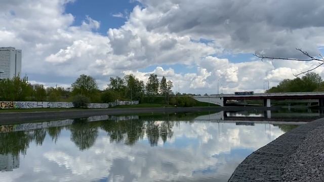 ДВА СТАРЫХ ПИТБУЛЯ, ДЖЕК РАССЕЛ ТЕРЬЕР, МИТТЕЛЬШНАУЦЕР, ДВОРНЯЖКИ, и БОКСЁР ТАЙСОН смотреть онлайн