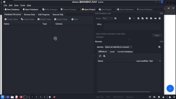 SQLite DB Browser Tutorial: Create & Read Databases | Kali Linux Tool