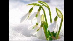 Антонио Вивальди цикл "Времена года" ВЕСНА часть 1: Март