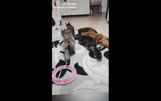 Неведома зверушка смотреть онлайн