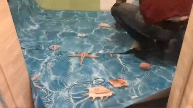 Зд пол в ванной и туалете смотреть онлайн