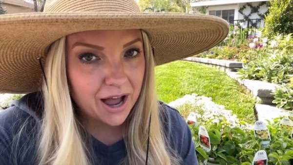 Planting Up My Front Annual Swoop Garden Bed with Proven Winners Annuals! 🌸 Zone 9b Garden