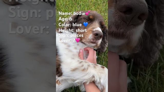 So things about my dog 🐶 смотреть онлайн
