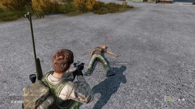 Dayz PvP смотреть онлайн