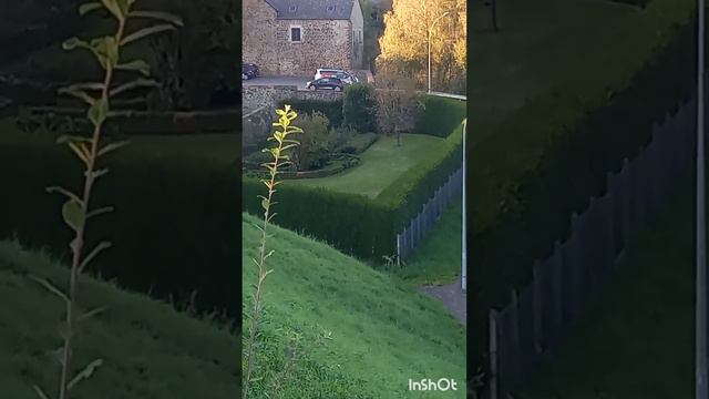 23 февраля 2023 г. смотреть онлайн