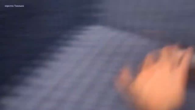 Домашняя Декоративная Крыса любит играть в догонялочки смотреть онлайн