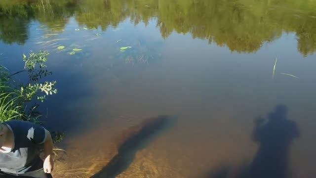 Решили с сыном отдохнуть и съездить на рыбалку смотреть онлайн