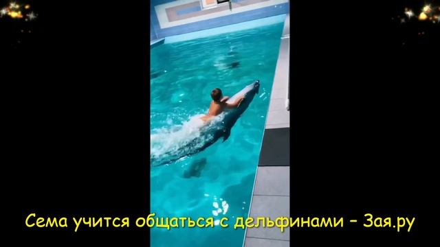 Особенный сын Эвелины Бледанс покатался верхом на дельфине. Новы видео 2021 смотреть онлайн