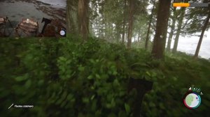 Sons Of The Forest ПРОХОЖДЕНИЕ #1 НАЧАЛО ВЫЖИВАНИЯ