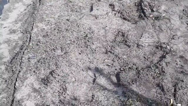 На дачи у мамы. Дача в октябре. Работы на даче в октябре смотреть онлайн