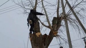 Опиловка дерева. Как это сделать быстро и аккуратно.