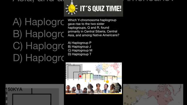 Y chromosome Haplogroups Phylogenetic Tree смотреть онлайн