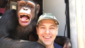 На улице с Шимпанзе