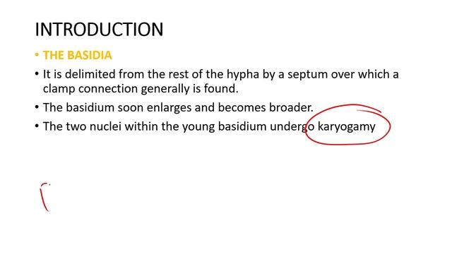 FUNGI – PART-XXIII BASIDIOMYCOTA – GENERAL ACCOUNT BASIDIUM смотреть онлайн