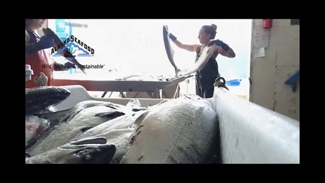 Дикая природа Аляски смотреть онлайн