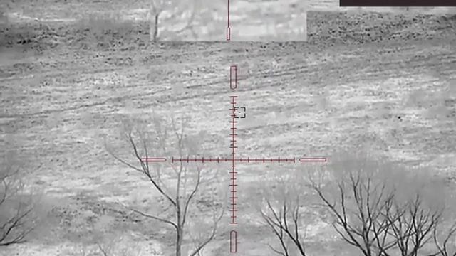 AGM VARMINT LRF TS50-640