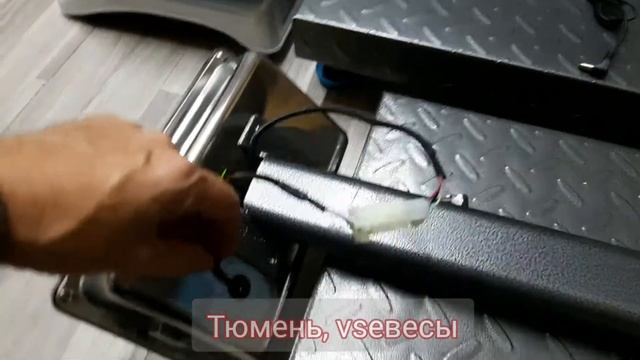 Весы торговые SIBS100-SIBS700, NECS 40-1 смотреть онлайн