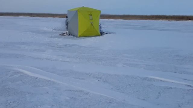 Озеро Кокай, ловля щуки на жерлицы смотреть онлайн