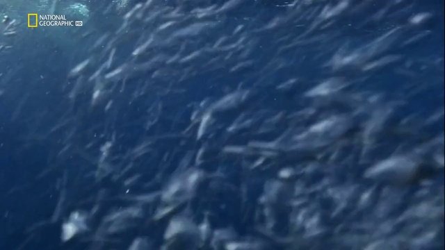 01.З смотреть онлайн