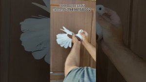 Голуби Ромы Донецкого 02.09.2023 г.