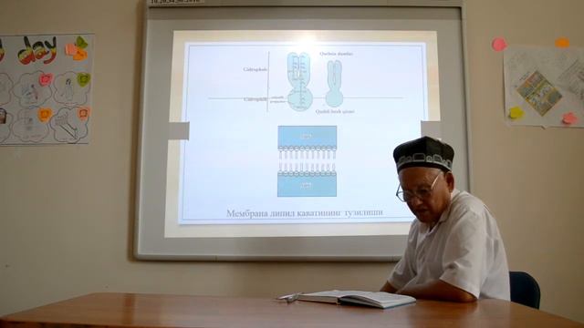 Fan: Sitologiya. Mavzu: Sitoplazmatik Membrana