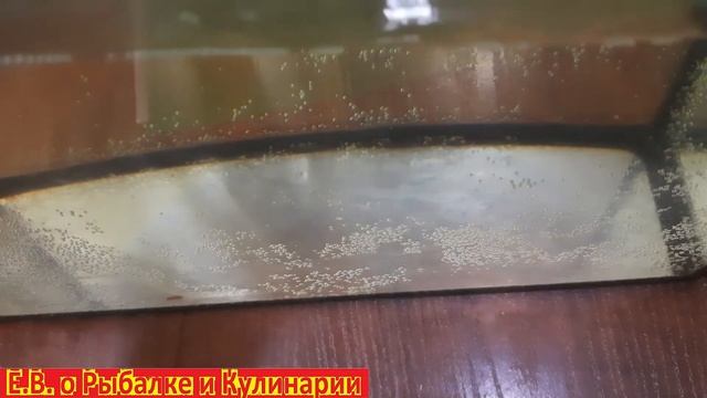 Чехол водонепроницаемый, универсальный СЛЕДОПЫТ, для защиты телефона, документов, проверяем в деле. смотреть онлайн