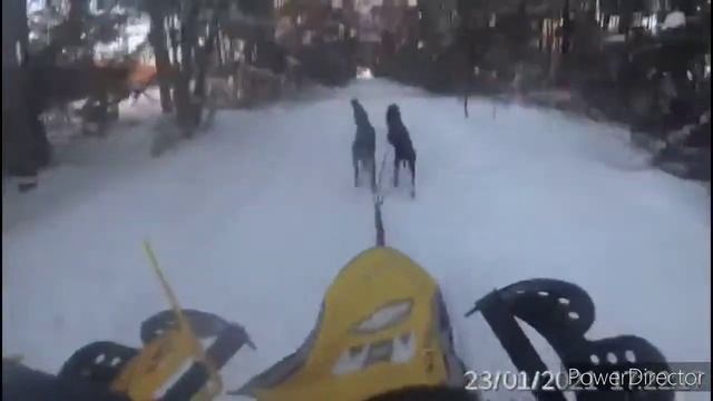 Ездовой спорт, нарта 4 собаки (Фантом, Фобос, Форест, Винер.) смотреть онлайн