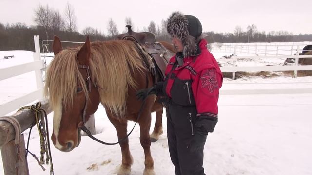 Когда пора заезжать лошадь смотреть онлайн