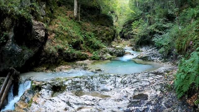 Beautiful Nature Scenery Relaxing Sleep Music • Deep Sleeping Music, Stress Relief, Meditation Musi смотреть онлайн