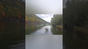 поселок Мама Иркутская область.