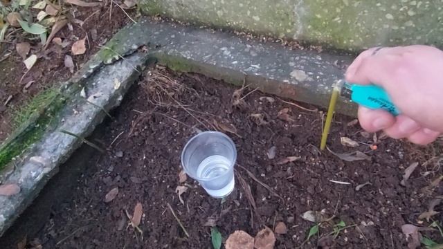 КЛАДБИЩЕ В ПОМОЩЬ. ХАНДРА И ХВОРИ. ОСЕННЕЕ ЗДОРОВЬЕ... смотреть онлайн