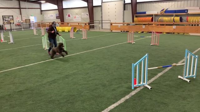 Java 20” P1 Snooker 37 points 50 sec Module 1 смотреть онлайн