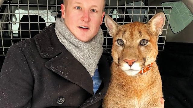 ИНОСТРАНЦЫ в России. Иностранцы о России. Жизнь в России. смотреть онлайн