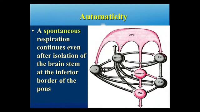 8:00 REGULATION OF RESPIRATION смотреть онлайн