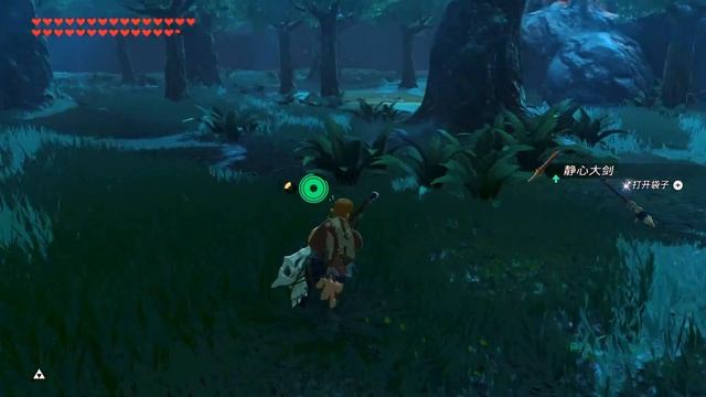 Botw: Relics of the Past - Sword trials - begining trials(Master Mode) смотреть онлайн