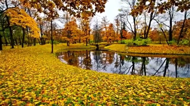 #творчество #хобби #Nina_Mircheva ФУТАЖ КРАСИВАЯ ОСЕНЬ РЕКА смотреть онлайн