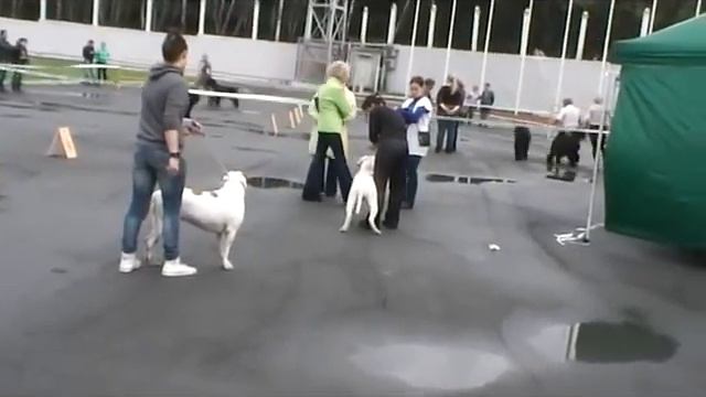 Моно часть 2 смотреть онлайн