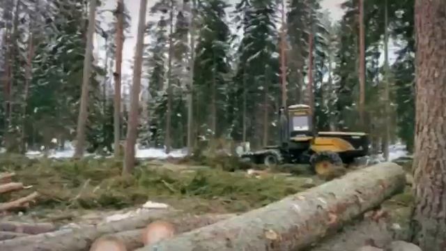 Древесина - от саженца до изделия смотреть онлайн