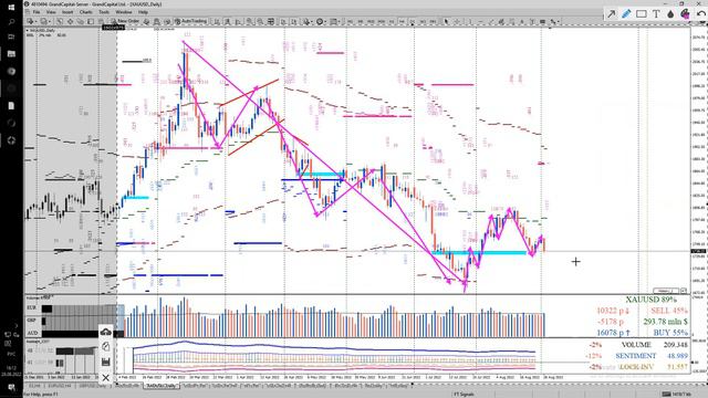 Лекция 28.08.2022. "Форекс прогноз: EURUSD, GOLD (xauusd) & USDJPY. смотреть онлайн