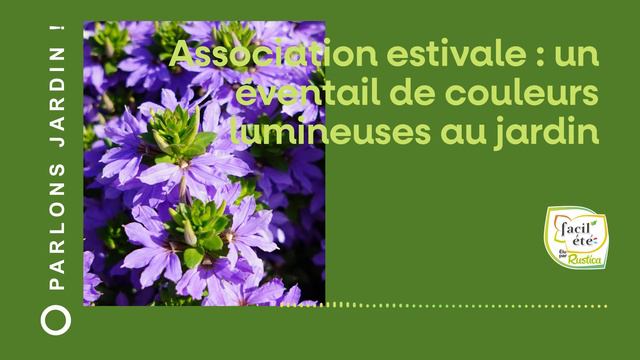 Association estivale : un éventail de couleurs lumineuses au jardin смотреть онлайн