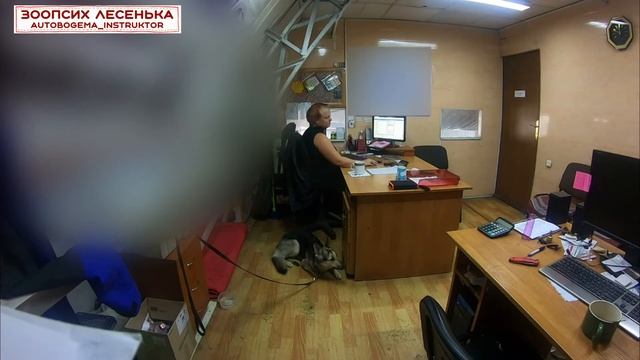 Анфиска. Необычная тренировка. Иногда нужно не делать ничего, а просто ждать. смотреть онлайн