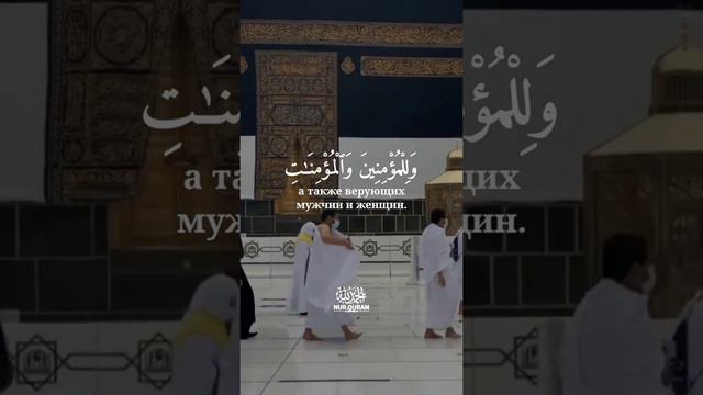 Сура 71 «Нух»ят {28}Чтец: Ahmed Al-Suwaidi #коран #дуа #МашаАллах смотреть онлайн