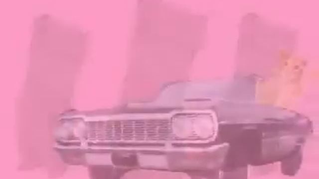 Dancing_Cats_-_Go_Kitty_Go смотреть онлайн