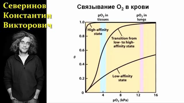 ? Северинов К. Совершенство Природы: Идеальный Молекулярный Грузовик! Video ReMastered. смотреть онлайн
