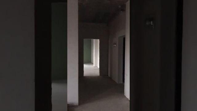 3-комнатная квартира. КД «Соты»